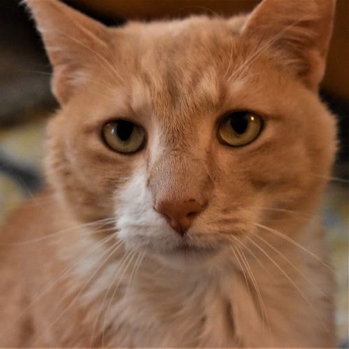 Accéder au profil de Andrew Ek