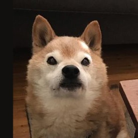 Avatar of user Miguel Andrade