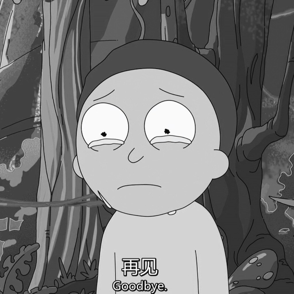 Go to Rhys Wang's profile