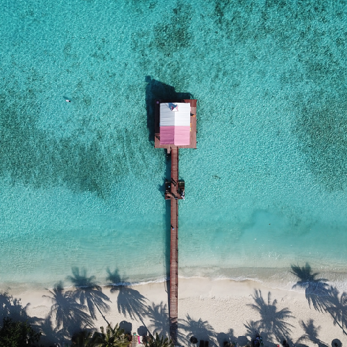 Go to Riccardo Lapi's profile