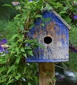 Go to Deanna Fletcher's profile