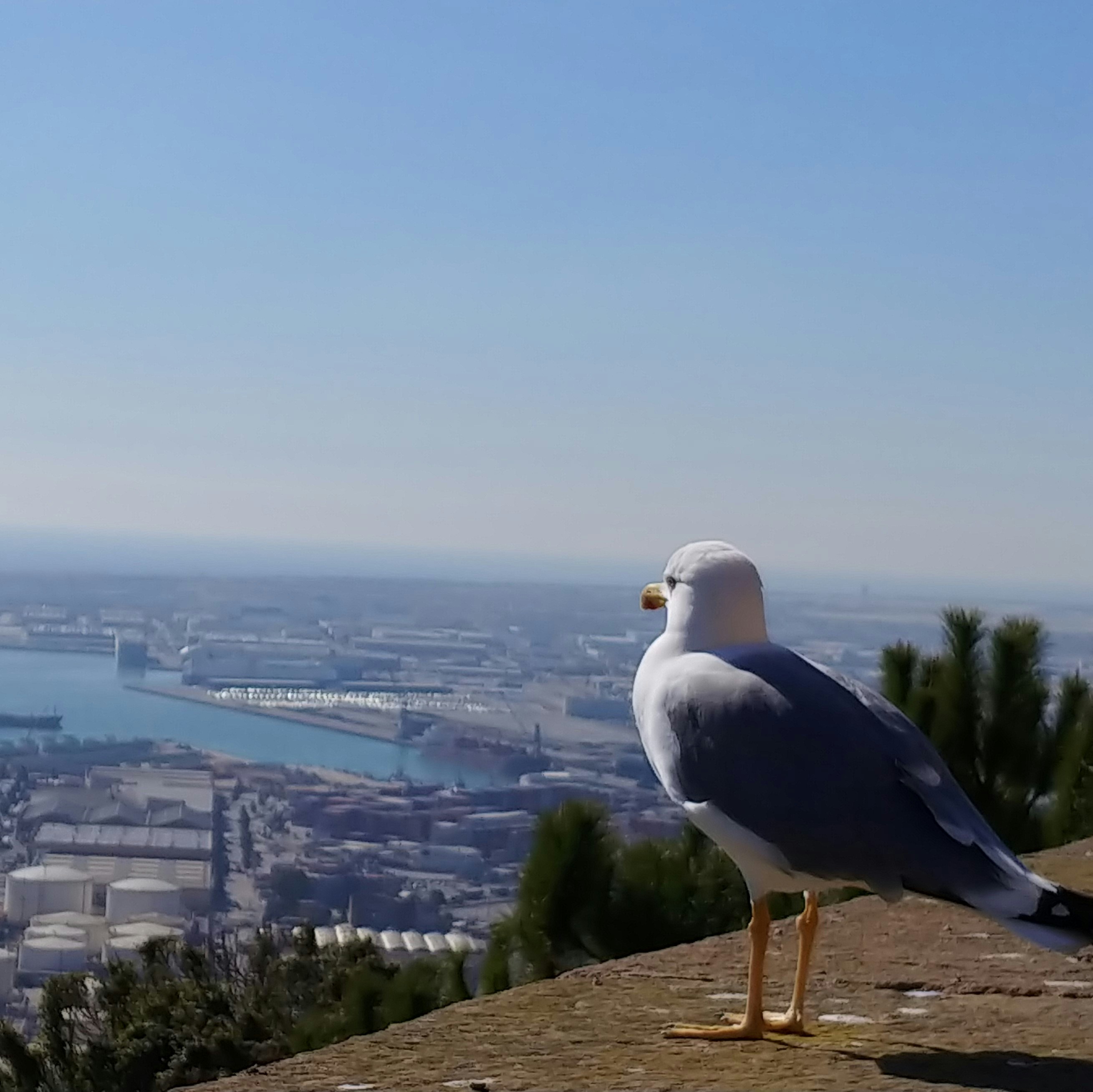 Go to MINSUN KIM's profile