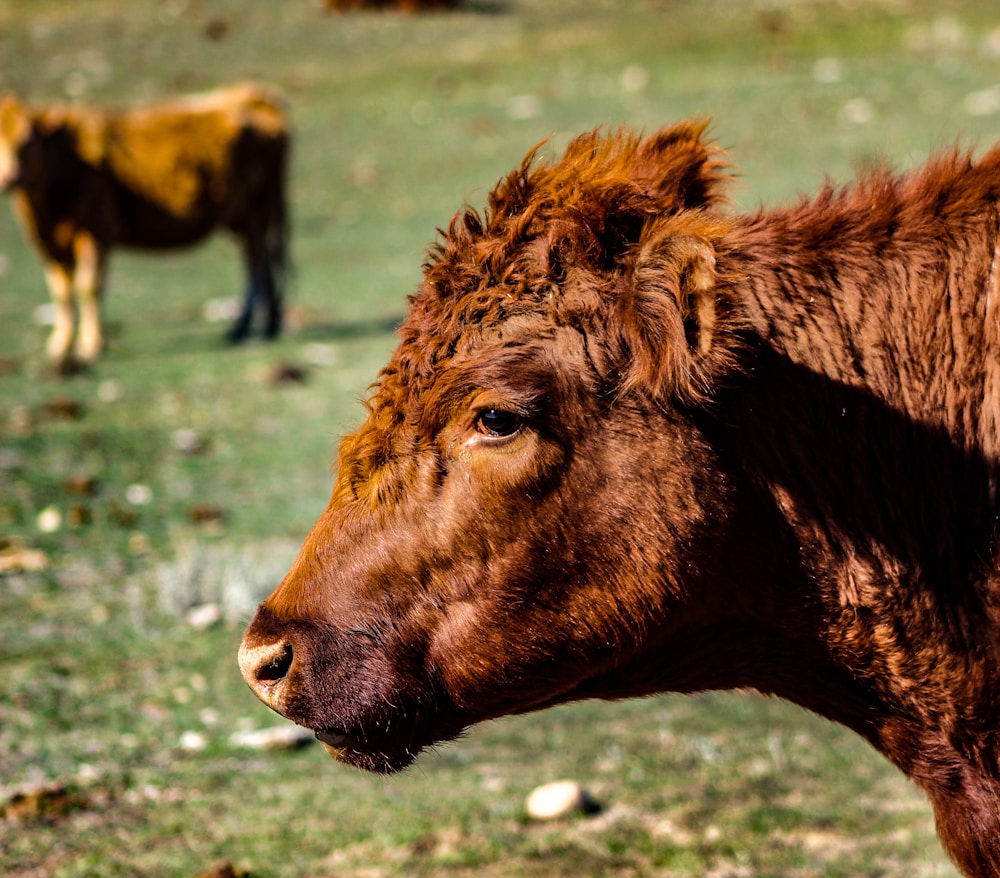 Go to Michael A's profile