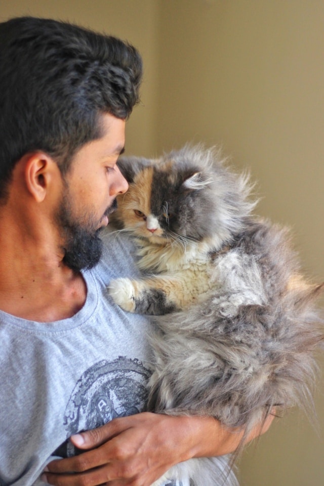 Go to Nihal Karkala's profile