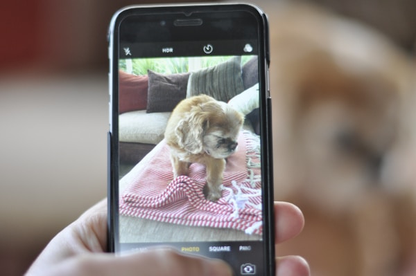 Go to Anthony Walker's profile