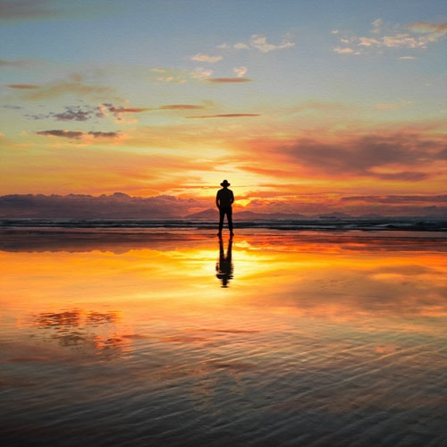 Zum Profil von Nick Dunn