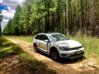 Go to Dario Dujic's profile