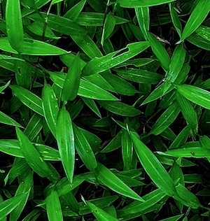 Go to Alina K's profile