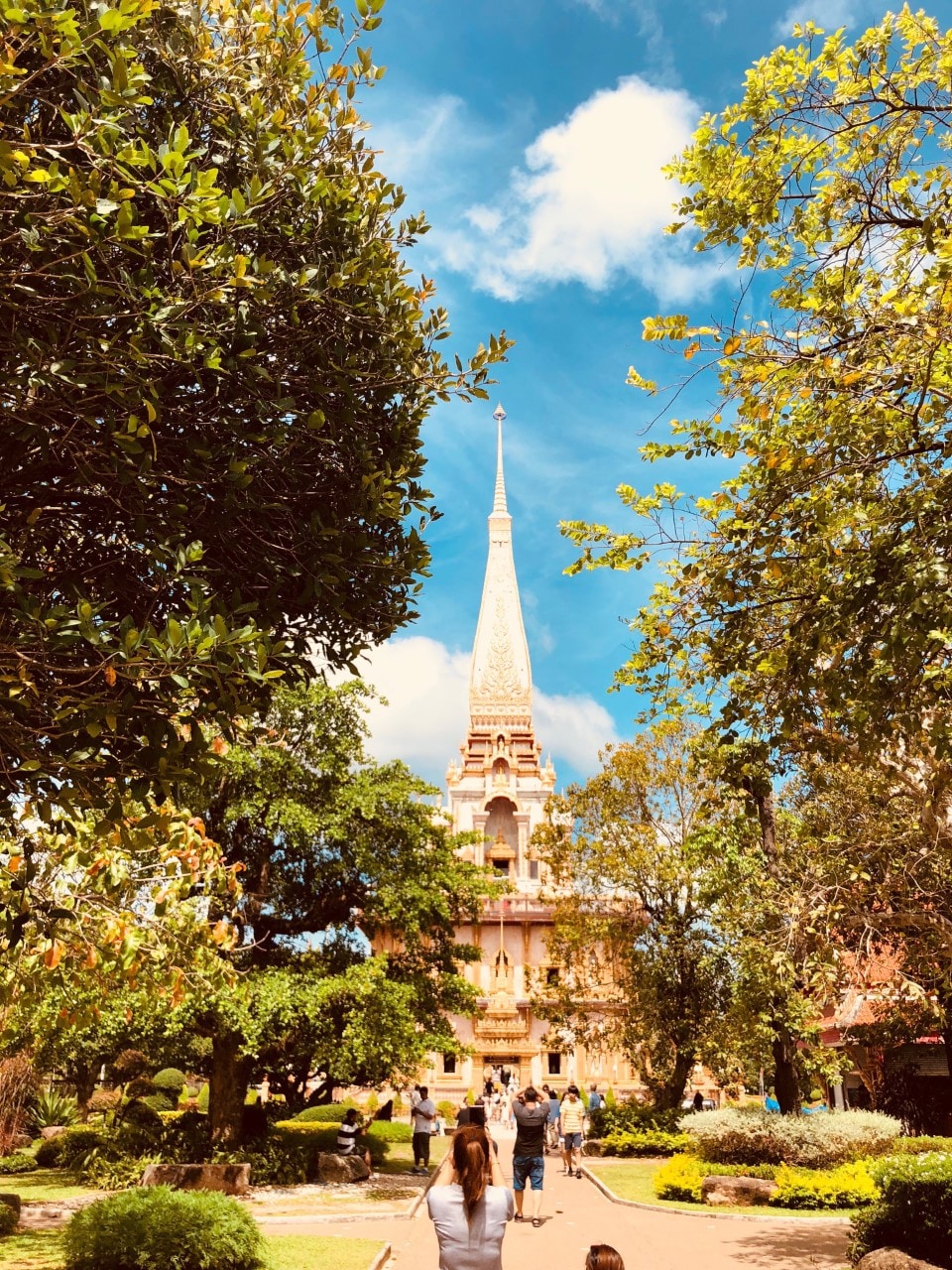 Go to Mark Roberts's profile