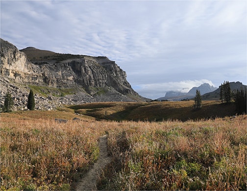 Go to Daniel Crowley's profile