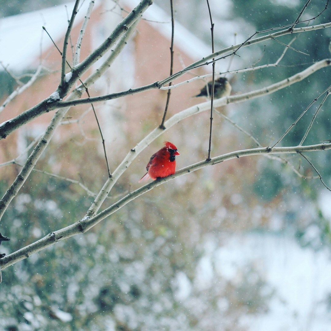 Go to Ilana Grostern's profile