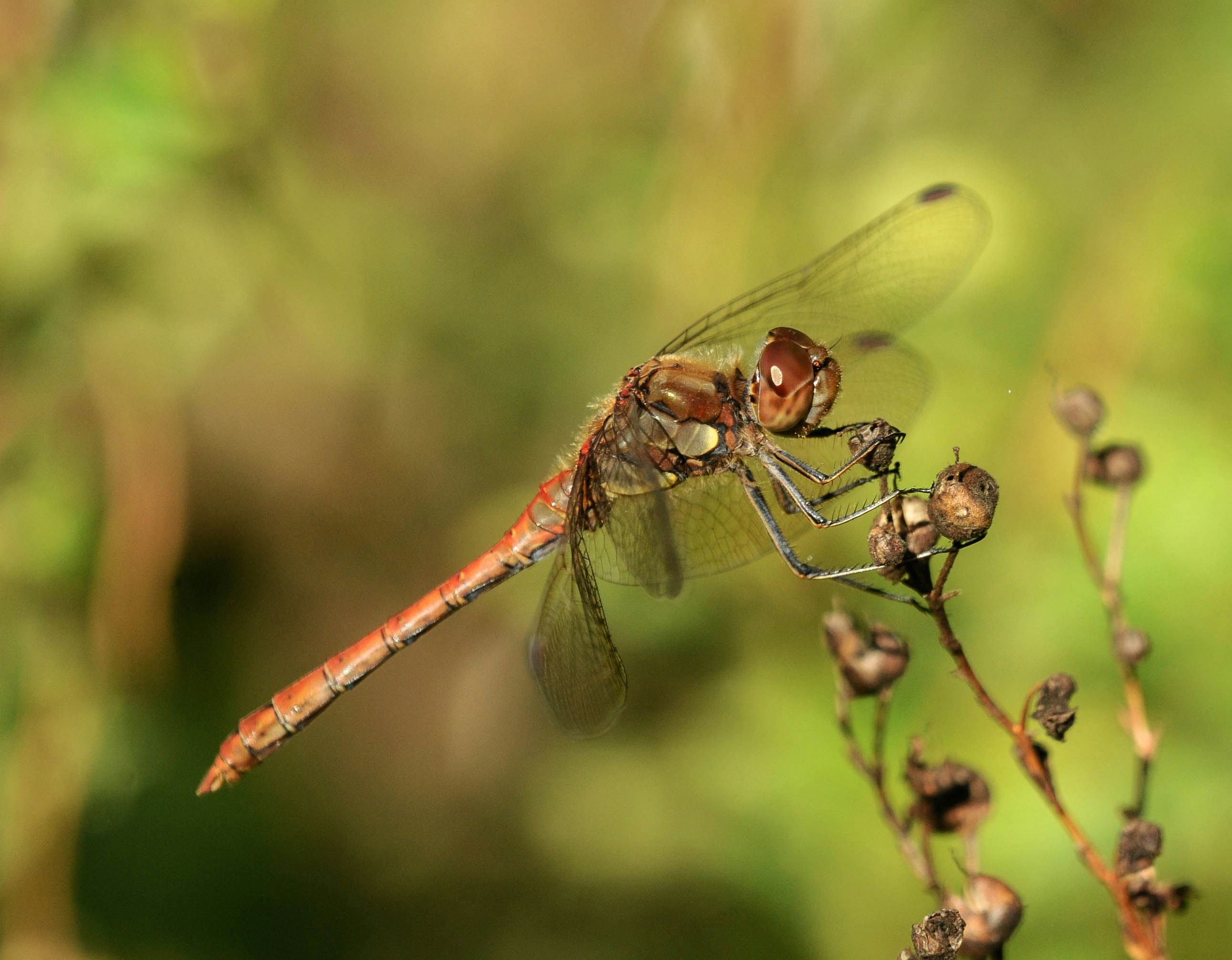 Go to mark james's profile