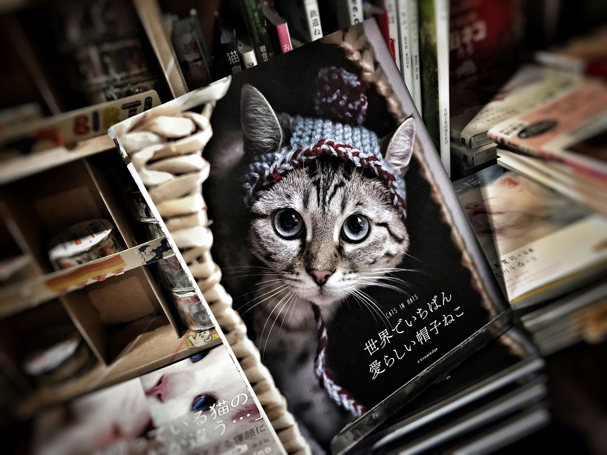 Ve al perfil de Daily Choice