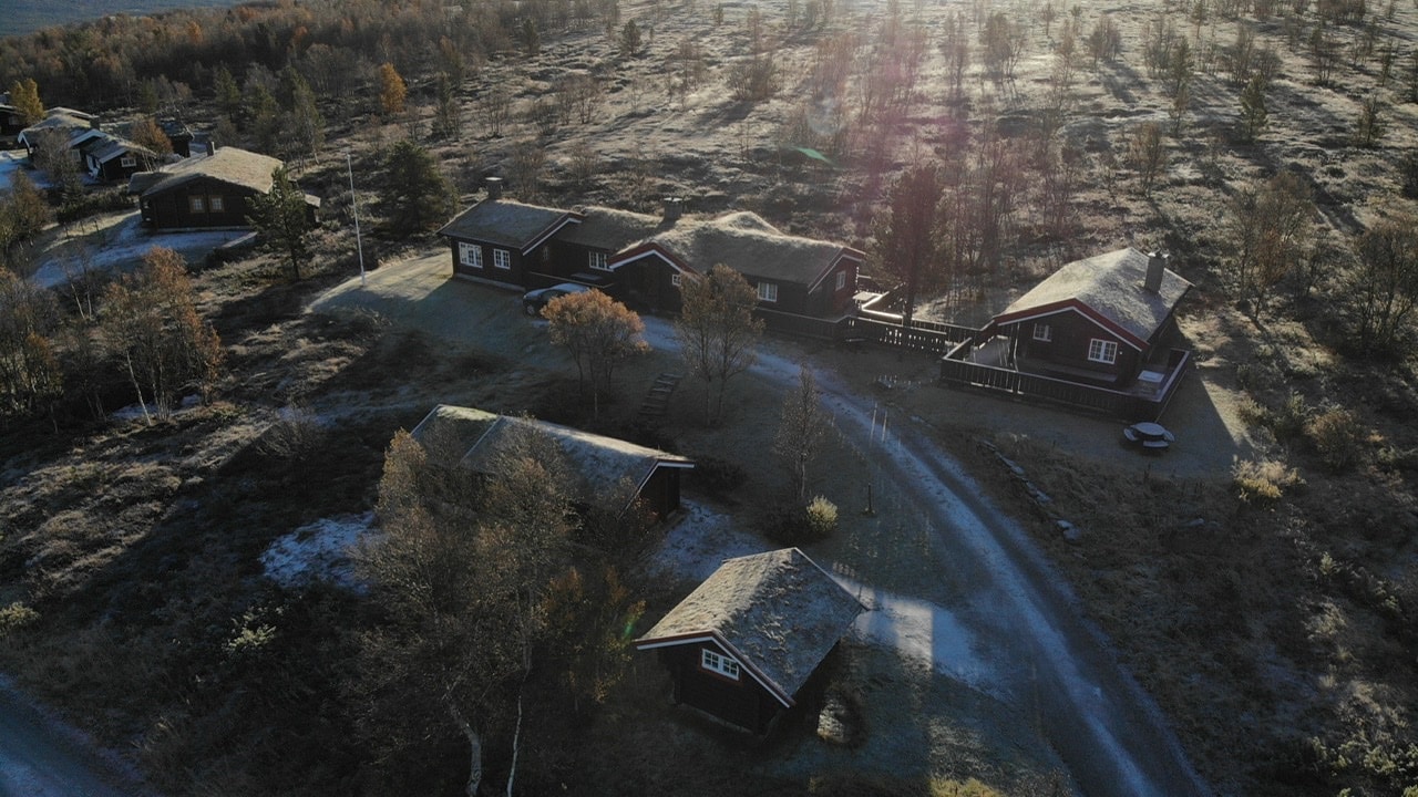 Go to Aleksander Solberg's profile