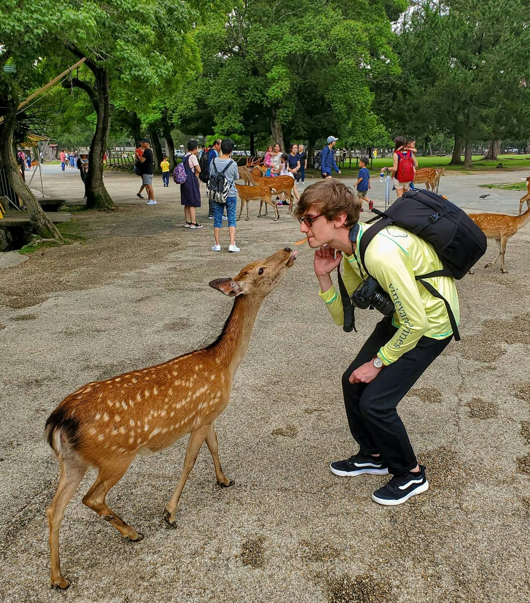 Go to Sebastian Kurpiel's profile