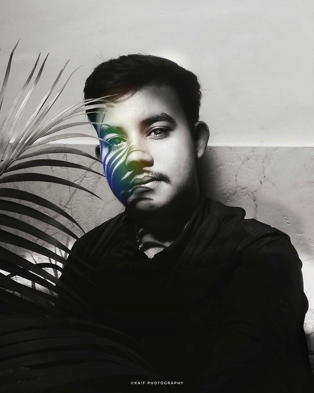 Kaifのプロフィールを見る