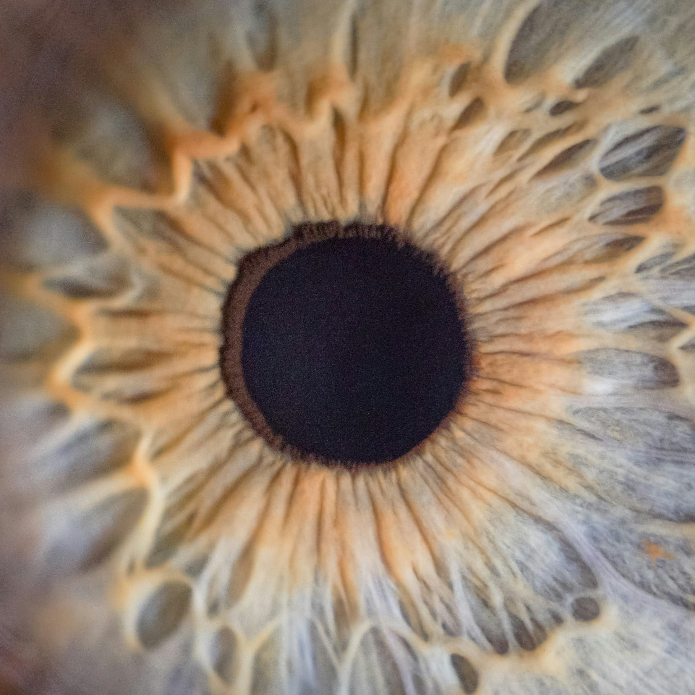 Go to Thomas Willmott's profile