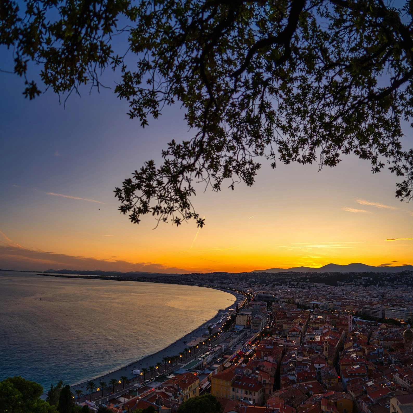 Go to Pierre Blaché's profile