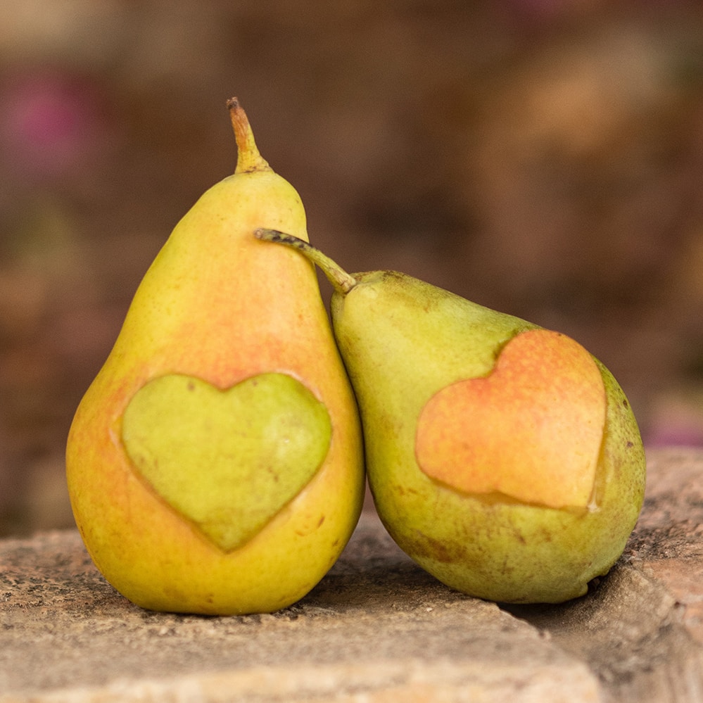 Go to Esther Vexler's profile