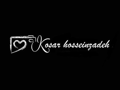 Go to Kosar Hosseinzadeh's profile