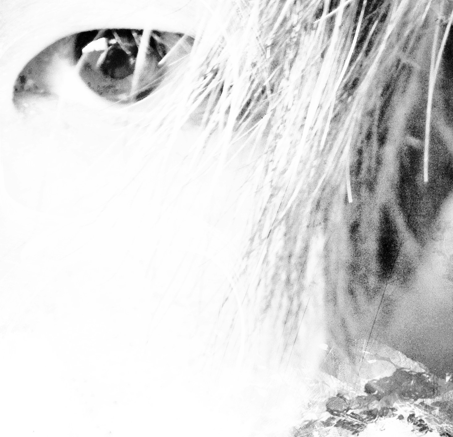 Avatar of user Sense Atelier