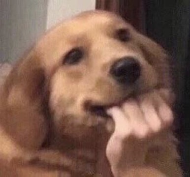 Accéder au profil de Brucie Chen