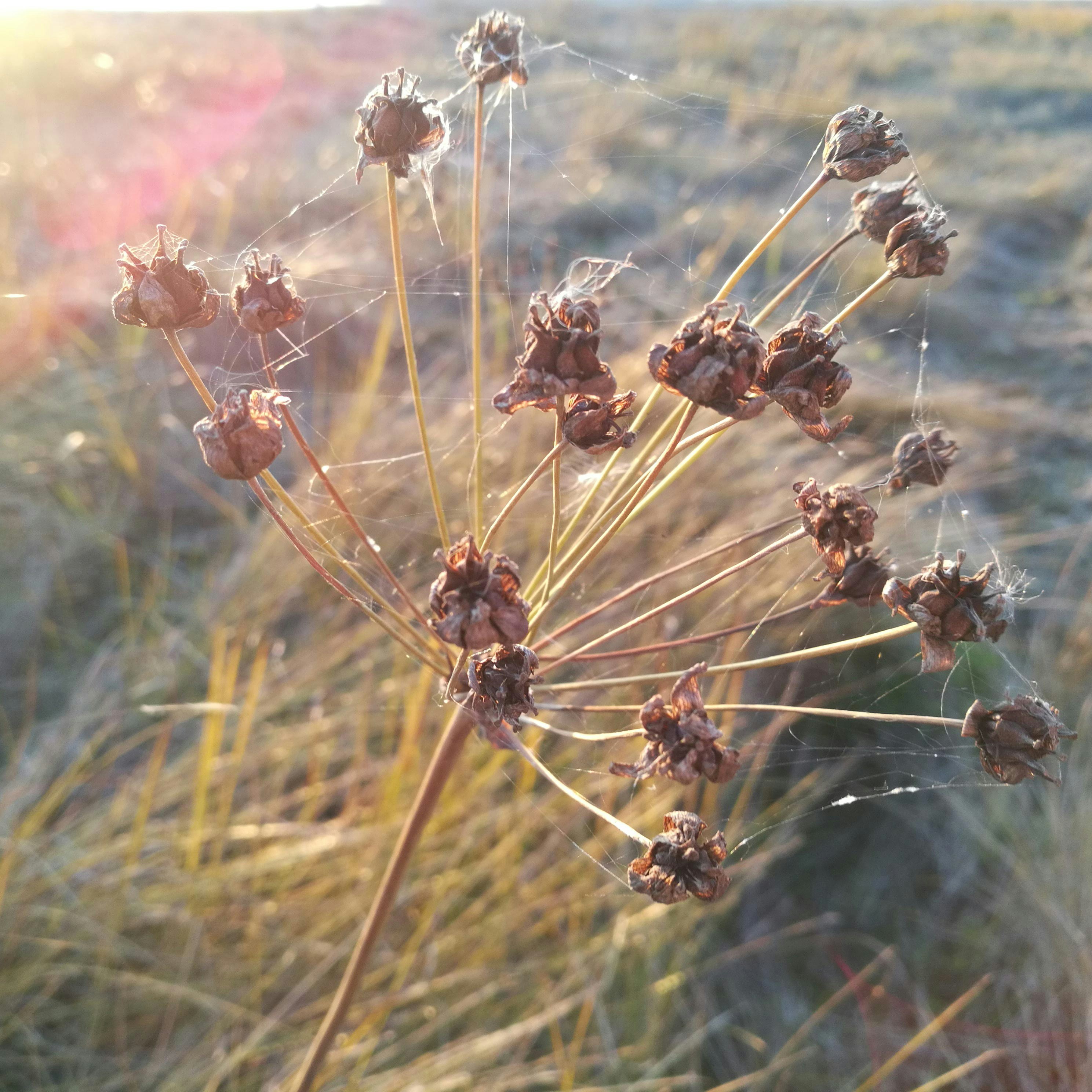 Go to Leonsa's profile