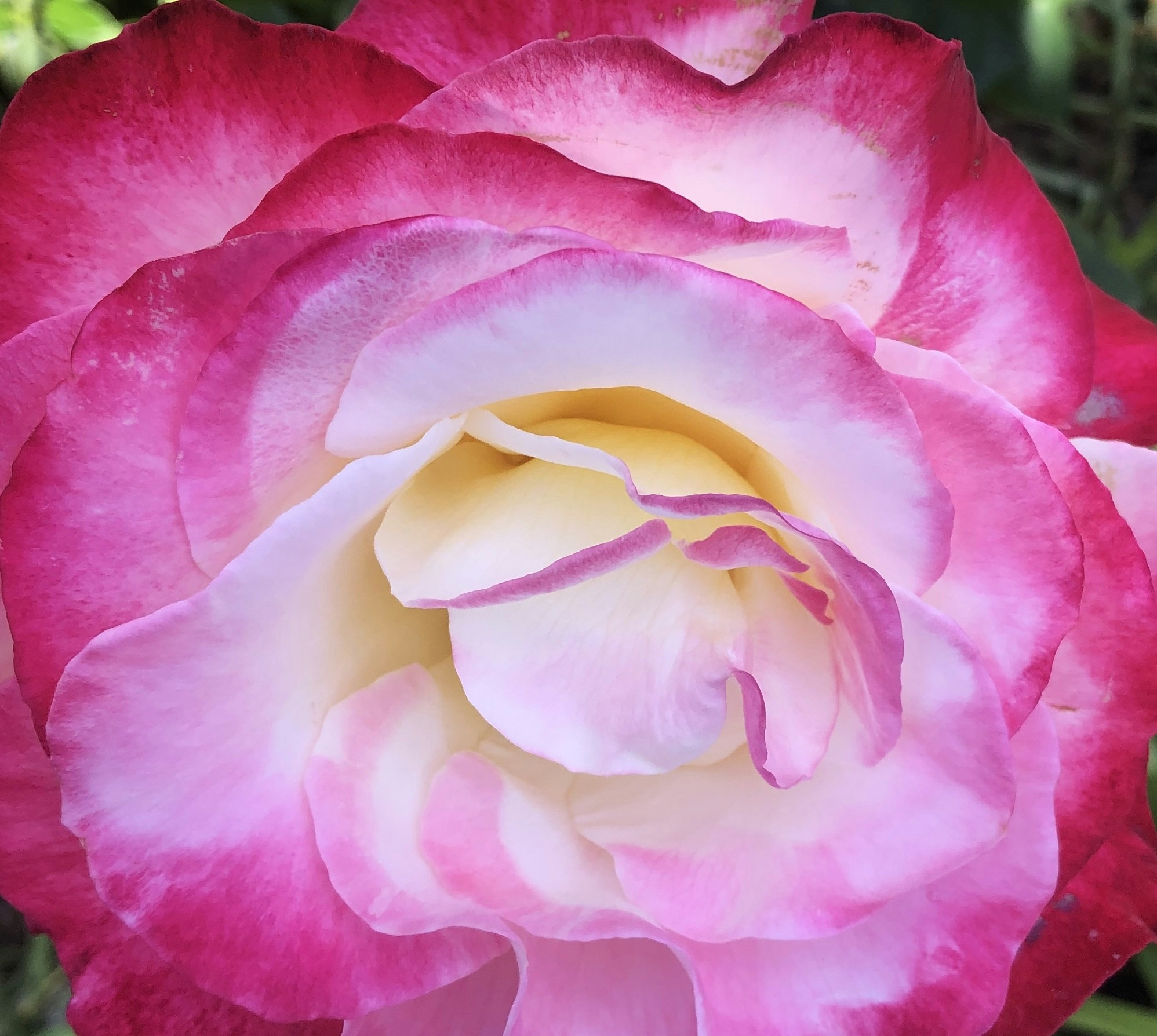 Ve al perfil de Danae Callister