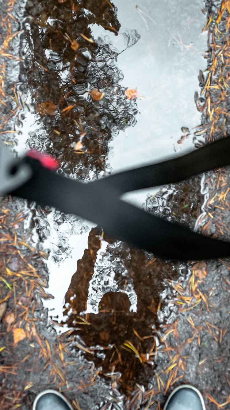 Ve al perfil de Alvis Taurēns