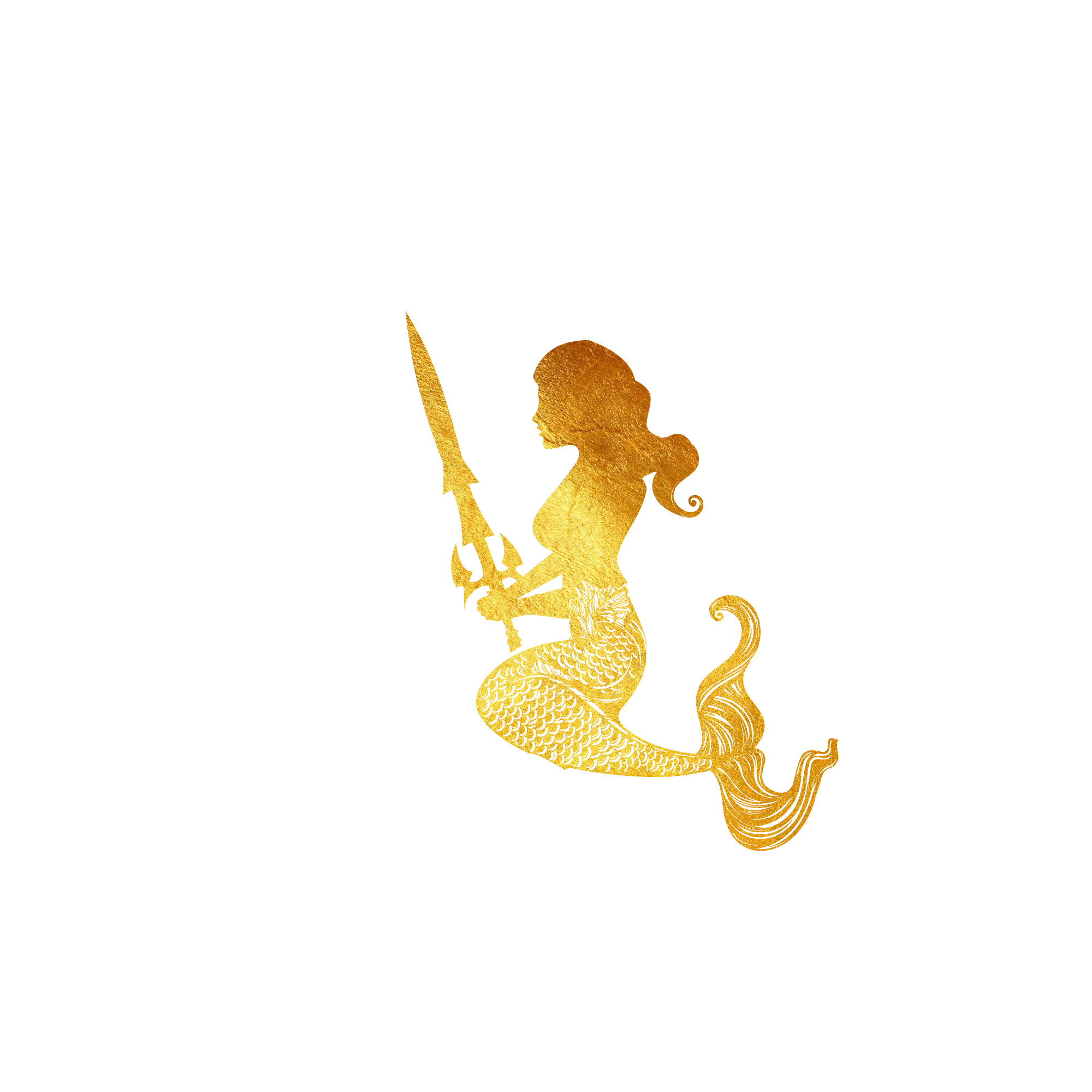 Go to Lauren Edvalson's profile