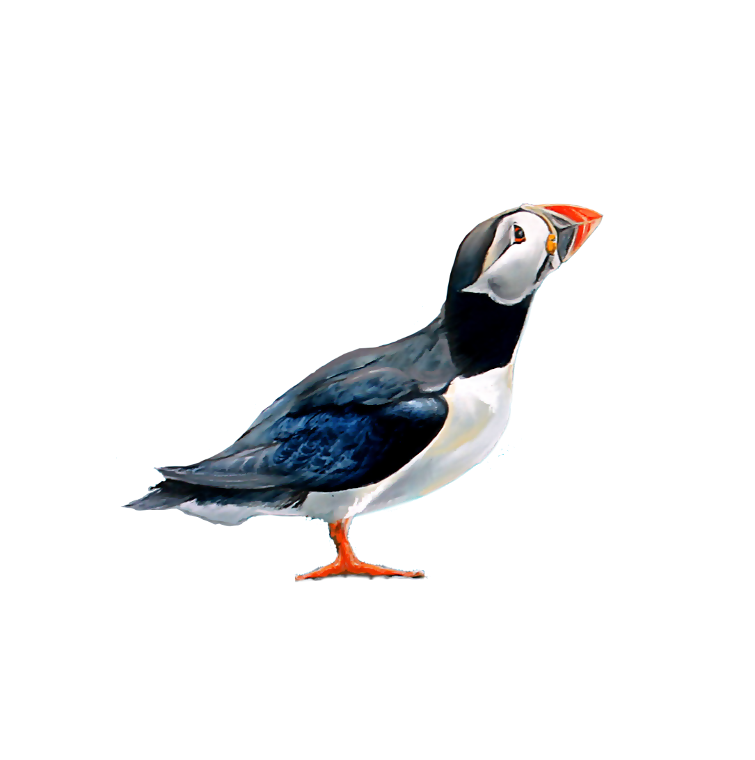 Go to Monty Allen's profile