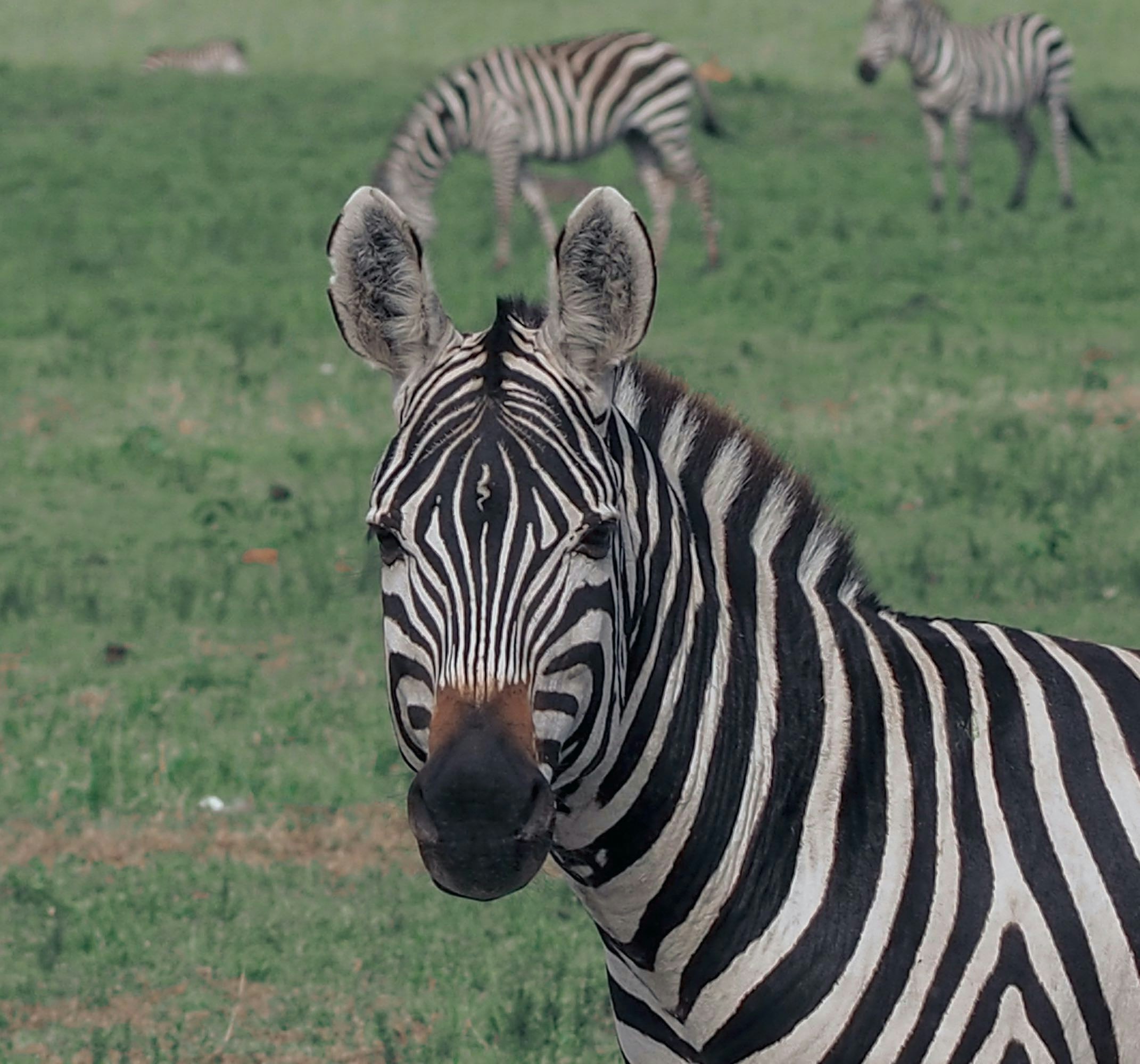 Go to Bibake Uppal's profile