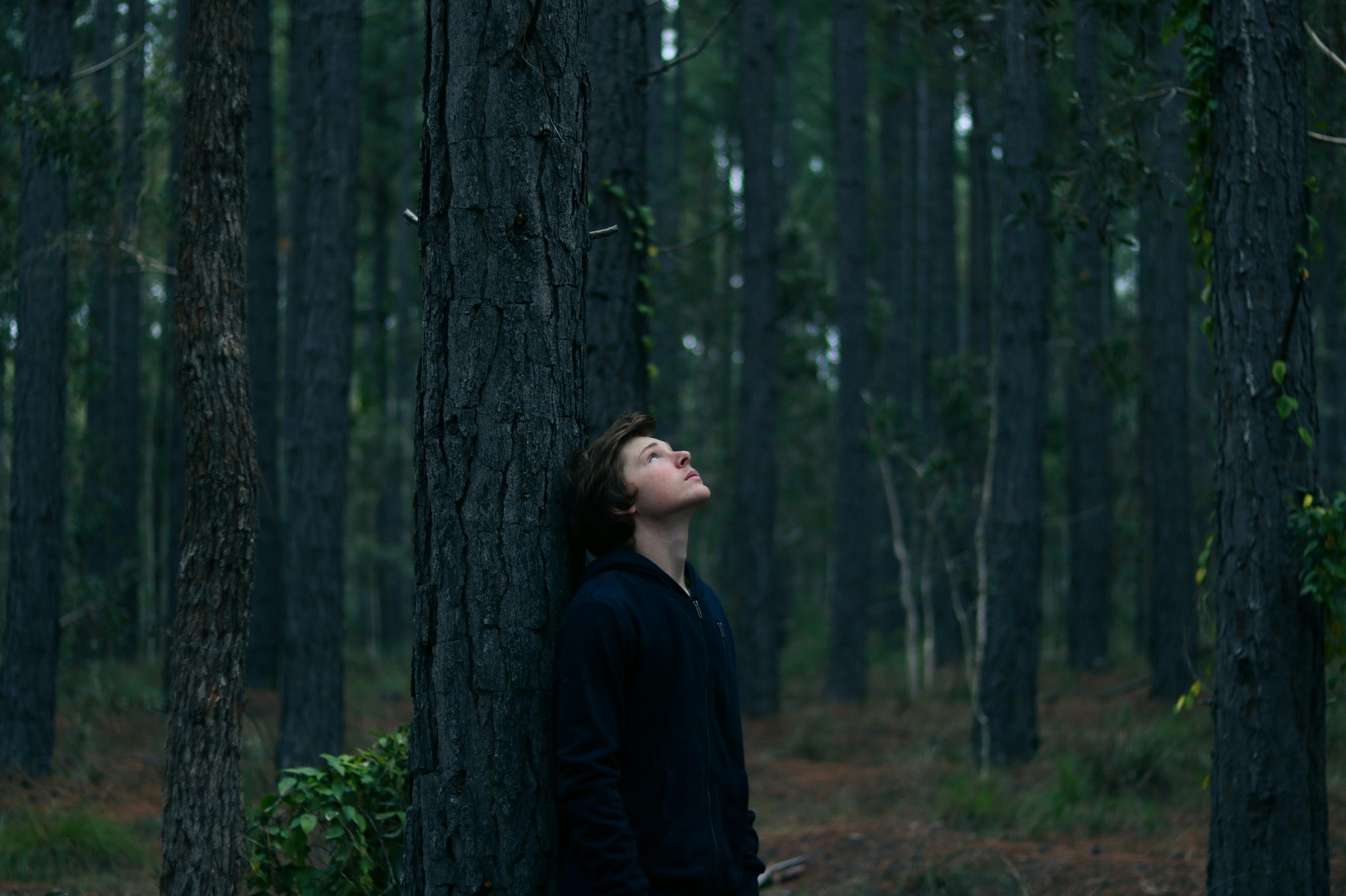 Ir para o perfil de Jacob Spencer