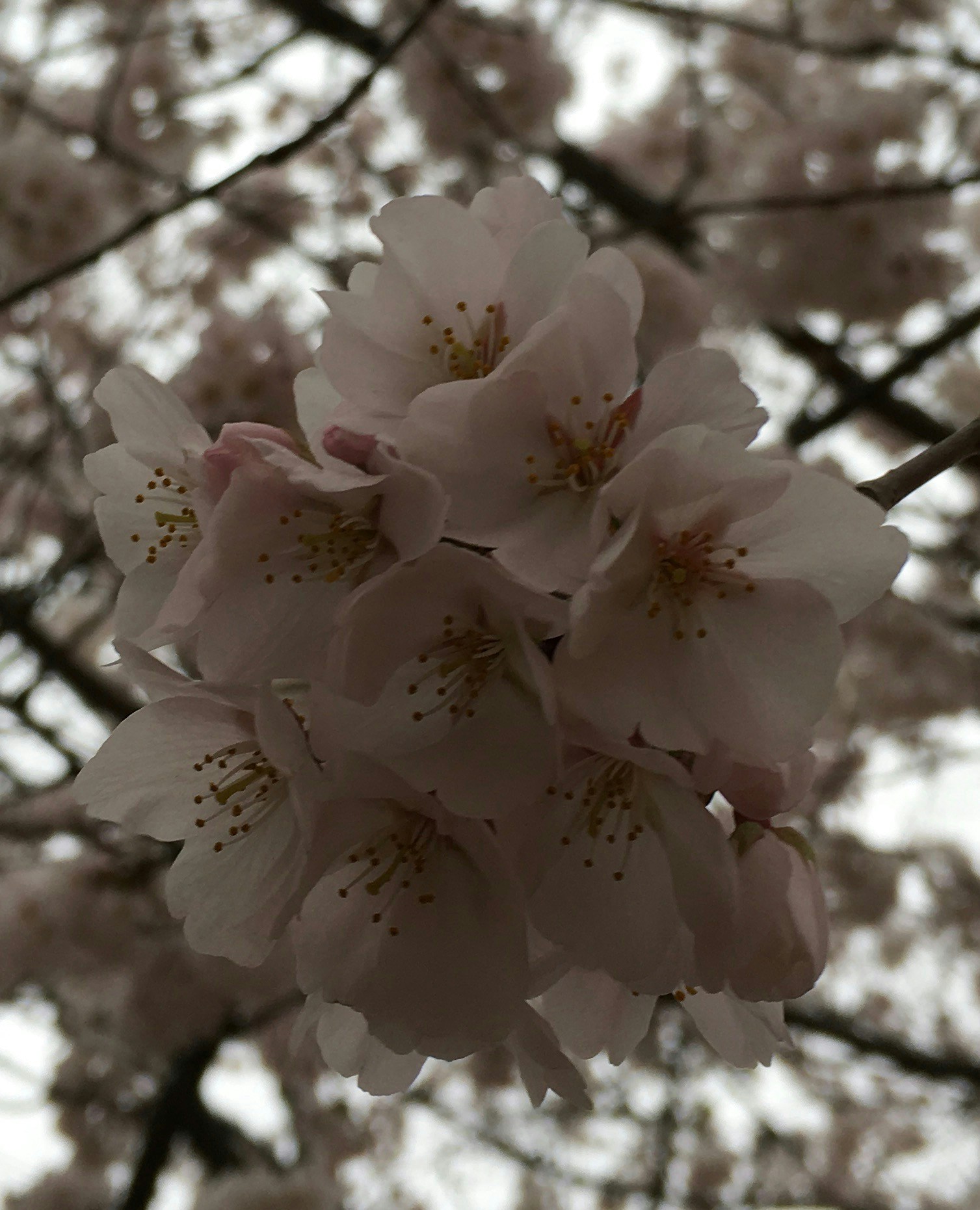 Go to Katie Hong's profile