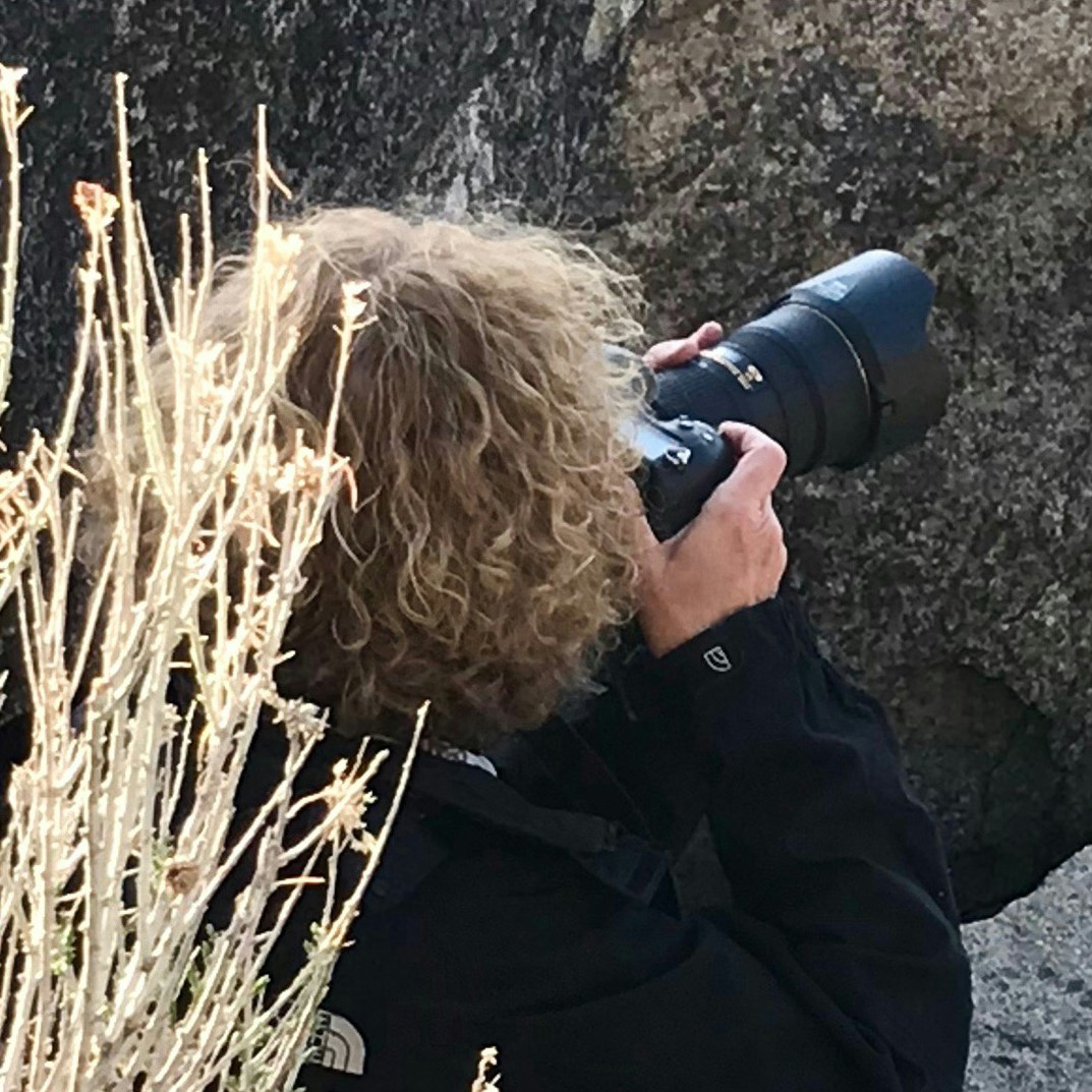 Go to Jude Beck's profile