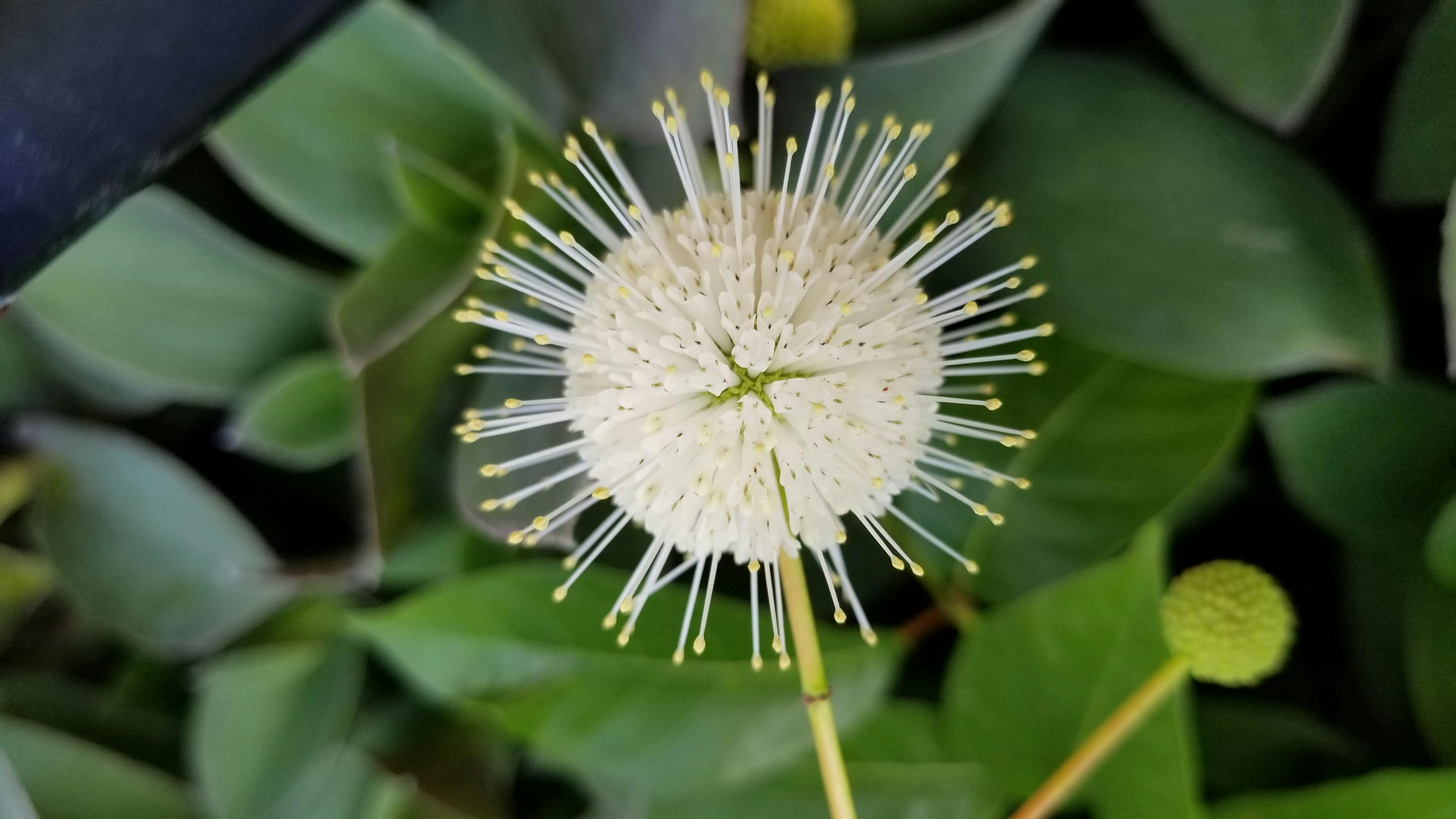 Go to Harry K's profile