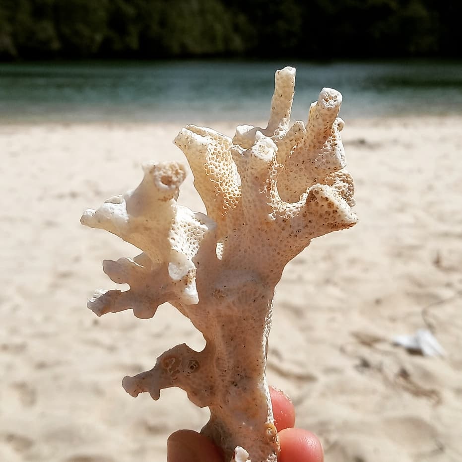 Accéder au profil de Marta