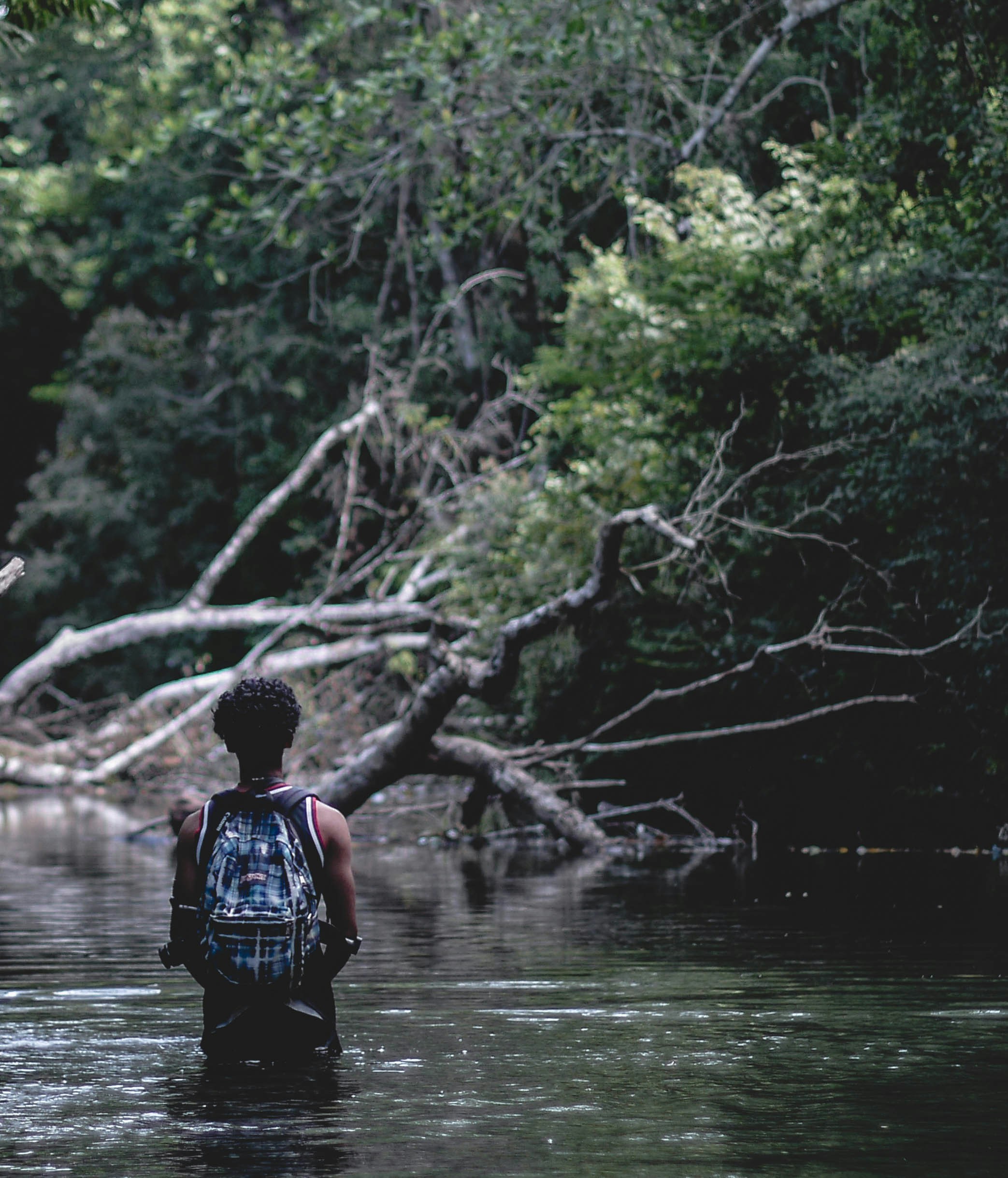 Ve al perfil de abyss