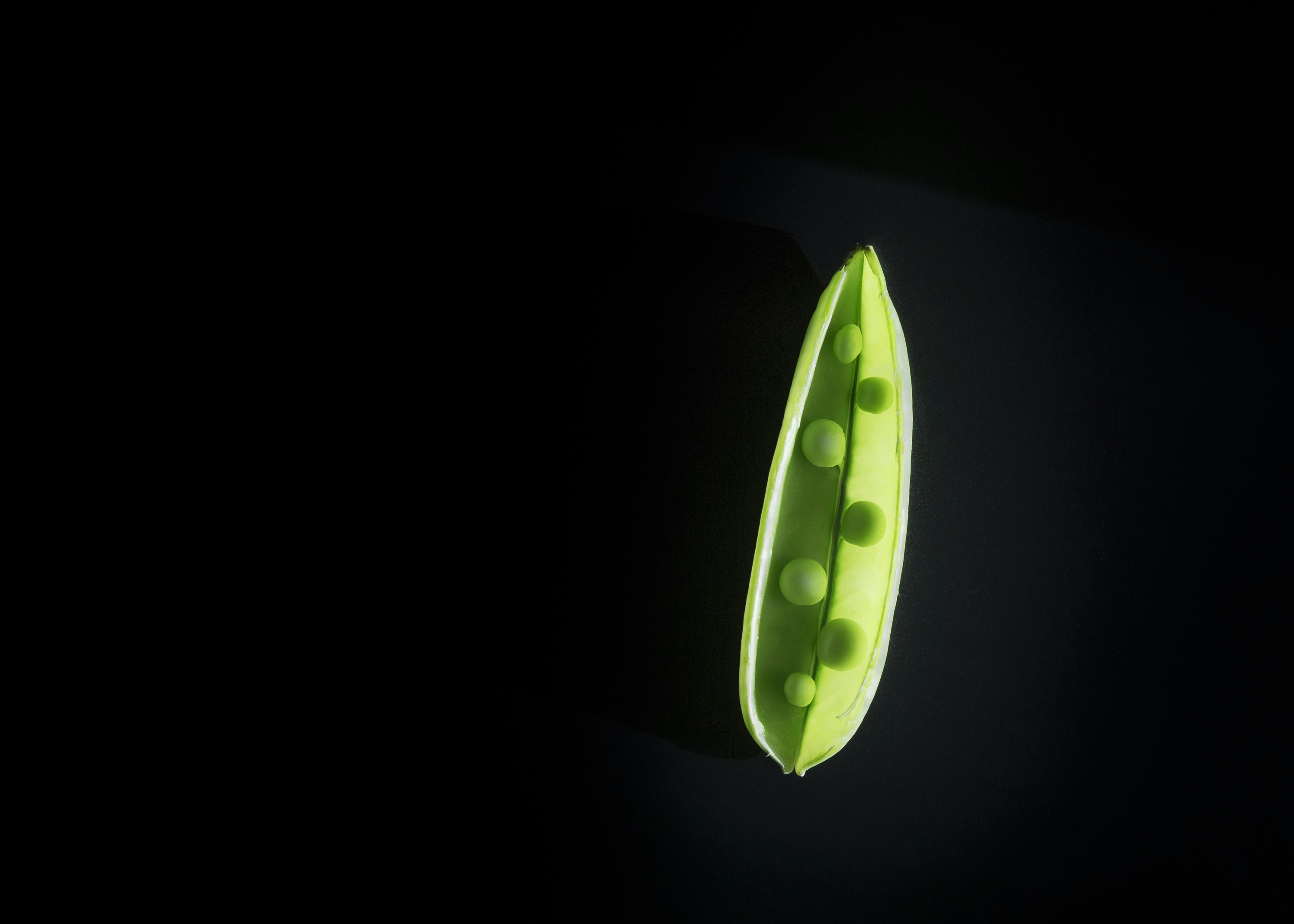 Go to Mae Mu's profile