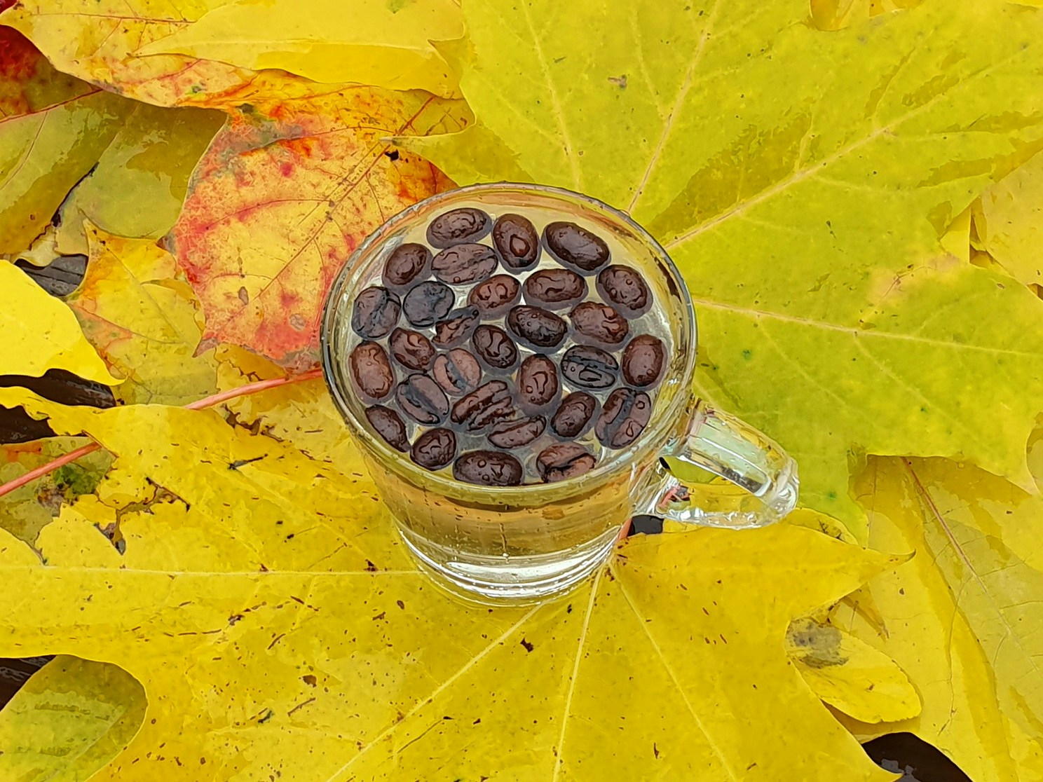 Go to Anda Deea's profile