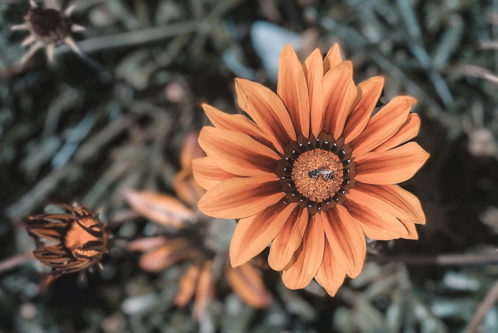 Go to ali guddam's profile