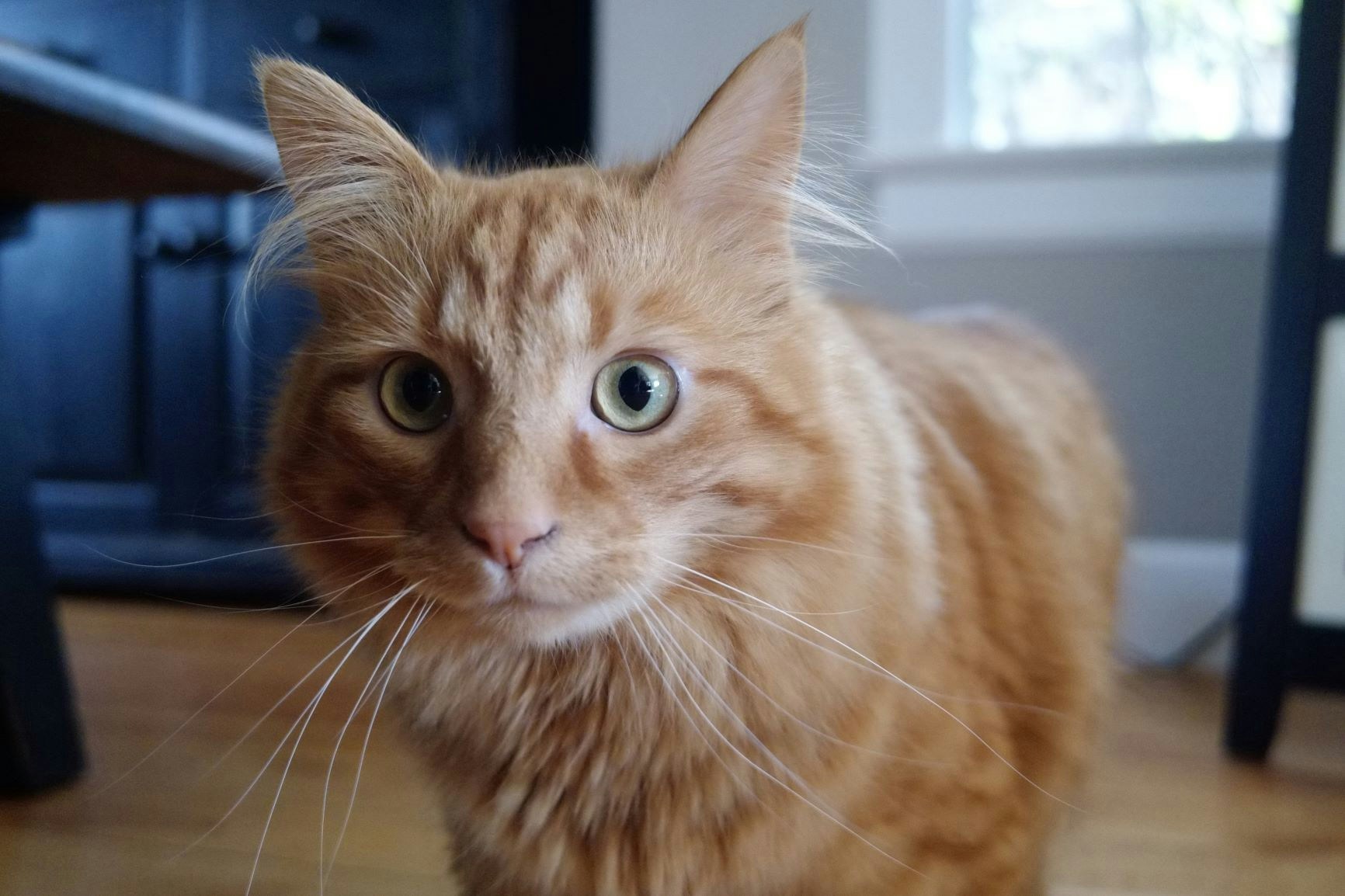 Go to Matthew Manuel's profile