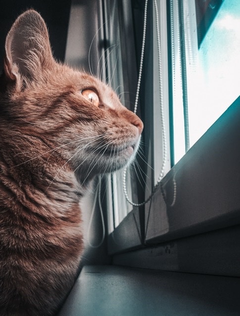 Go to Jan Crhonek's profile