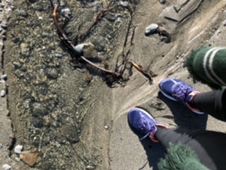 Ve al perfil de Anne Rosly