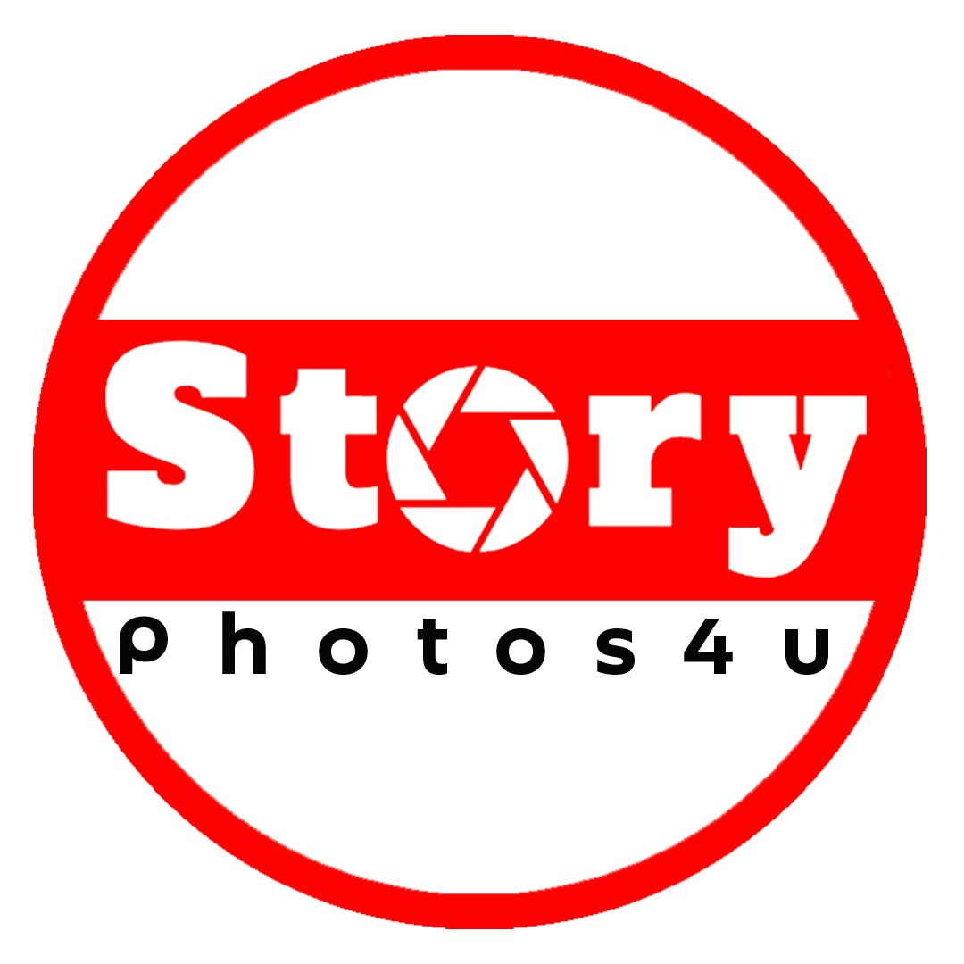 Ve al perfil de roman ten