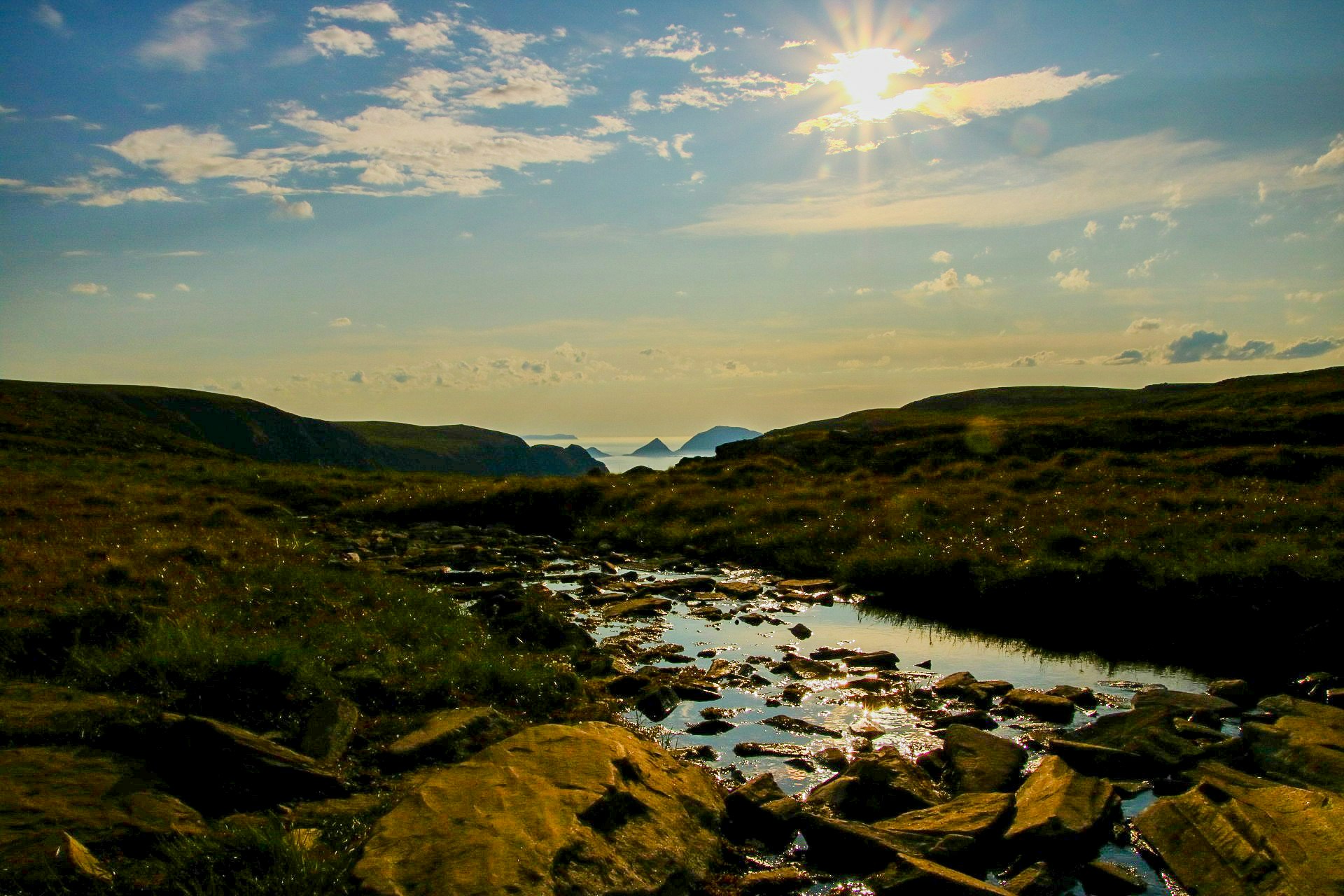 Zum Profil von Dominic I