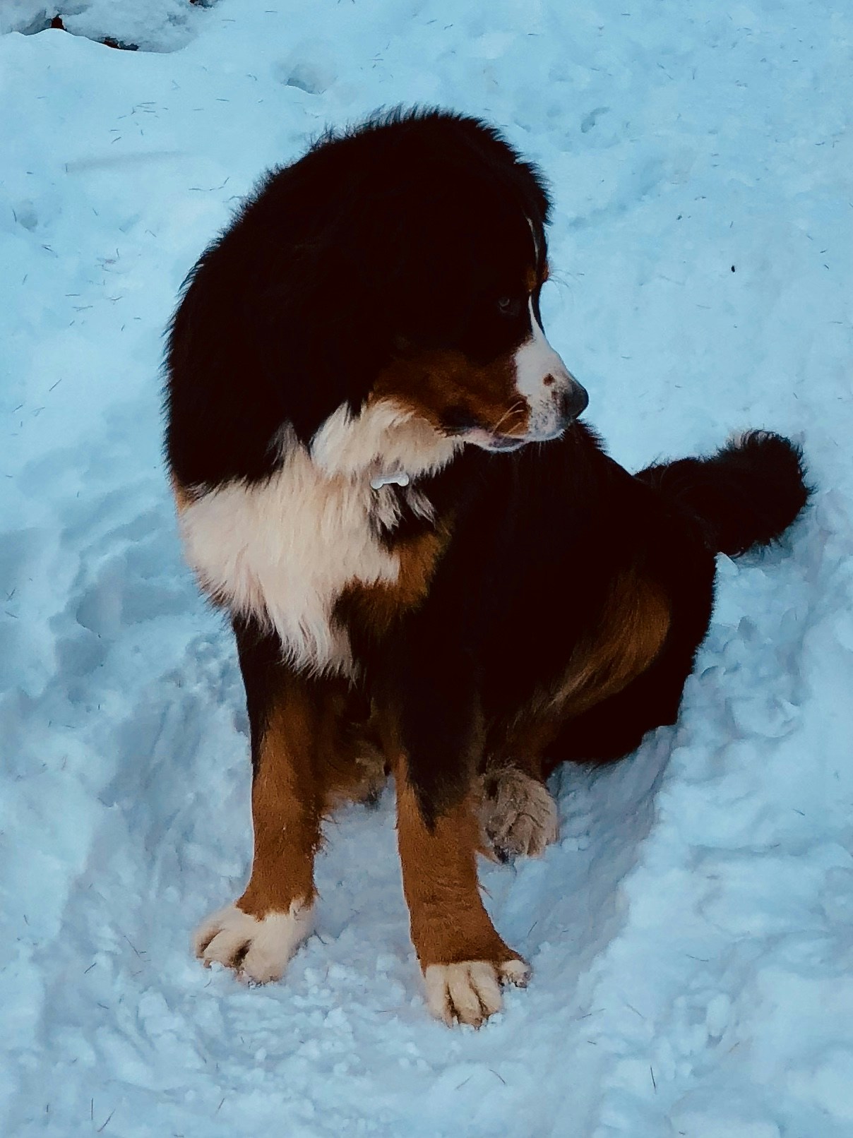 Go to Briony Brown's profile