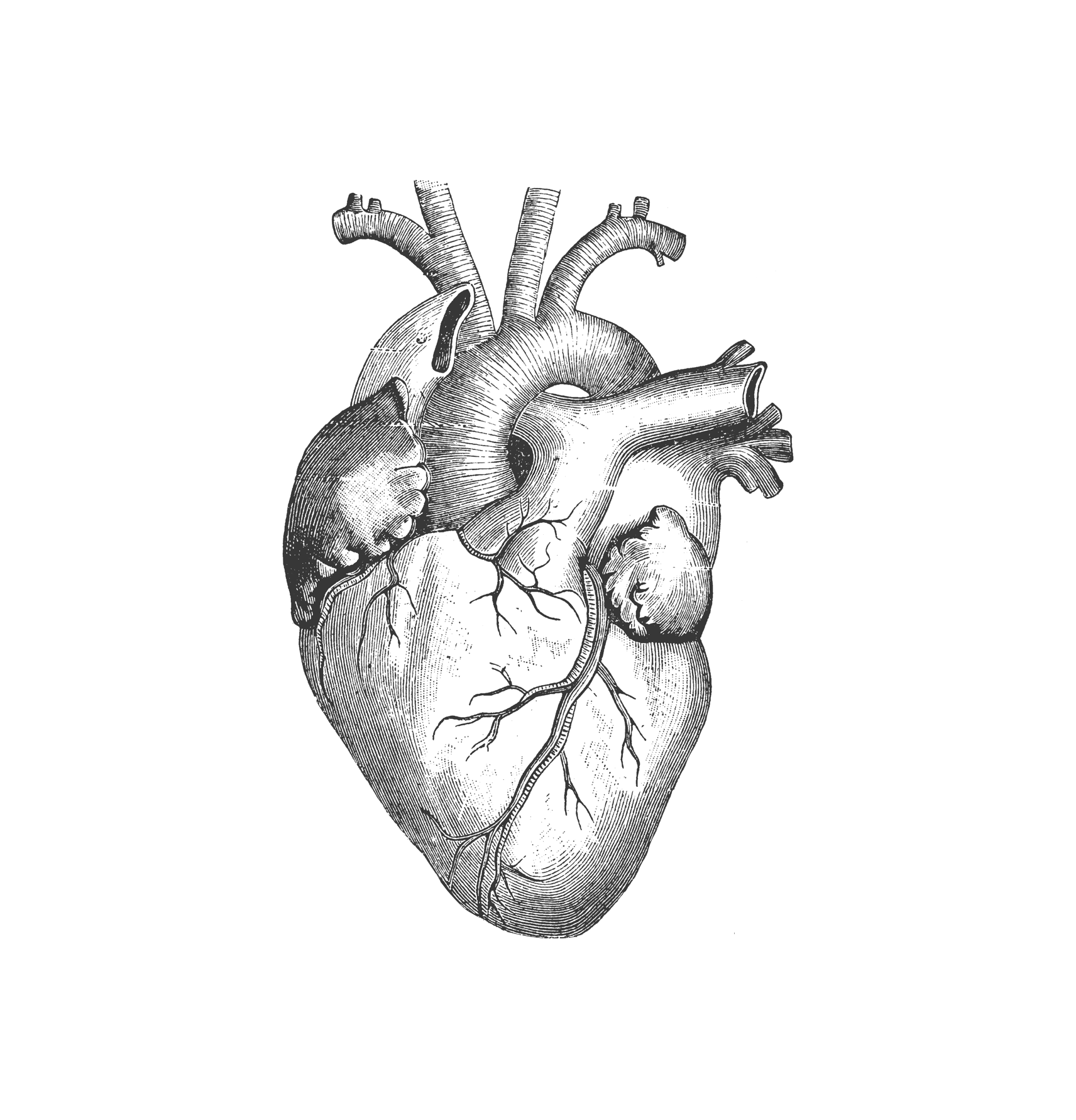 Ir para o perfil de Jonathan Beckman