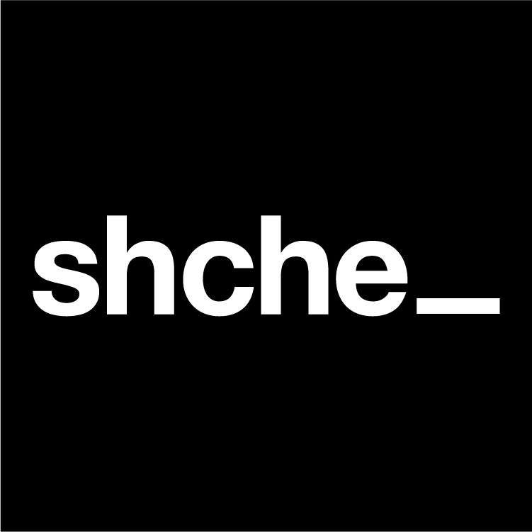 Avatar of user shche_ team