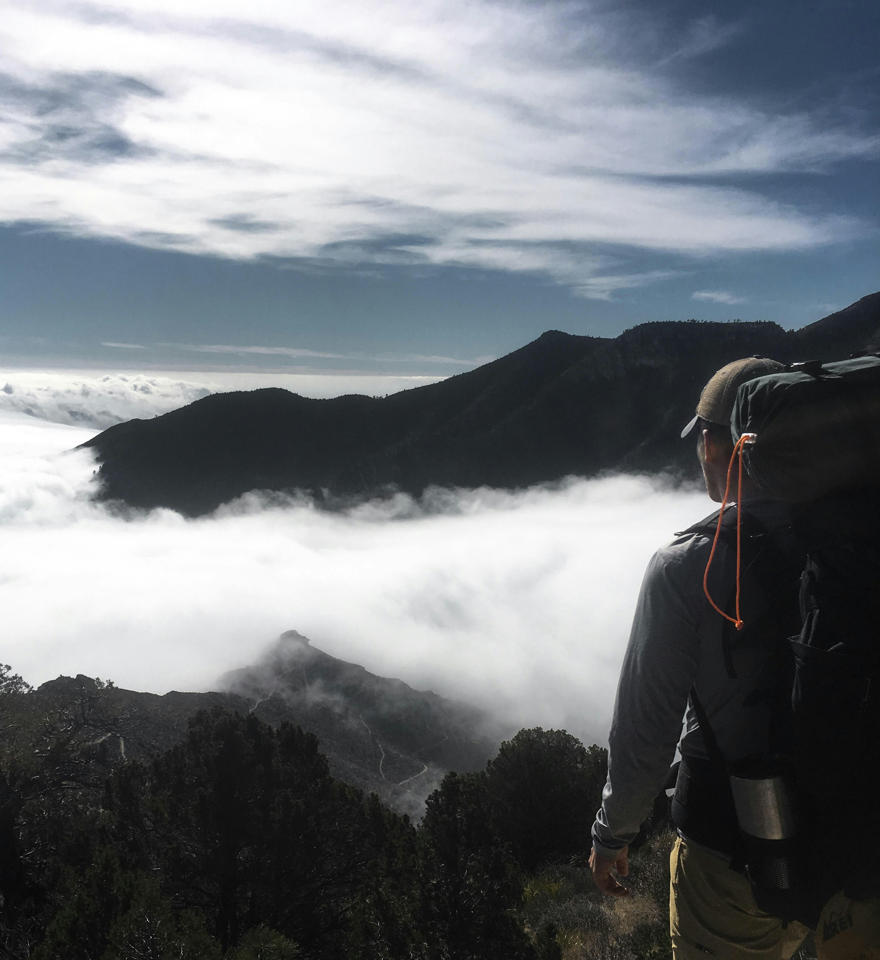 Ve al perfil de Jarrett Mills